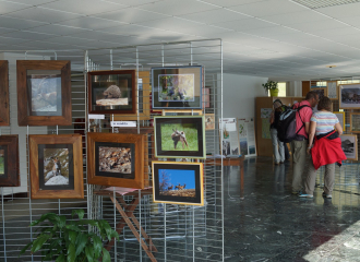 La Maison franco-italienne du Mont Cenis, lieu d'information et d'exposition