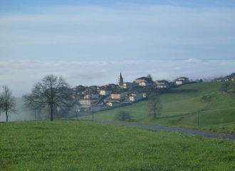 Chemins de Compostelle : Montbrison - le Puy-en-Velay