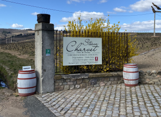 Domaine Steeve Charvet à Chiroubles