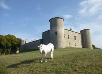 le château