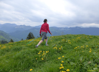 Sortie accompagnée