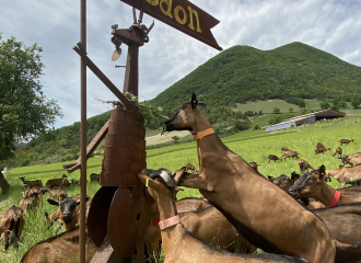 Ferme Pracoutel à Vesc