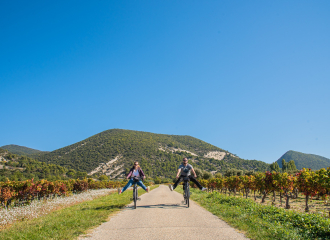 Coups de pédales dans les vignobles