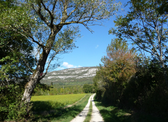 Plateau des Daines