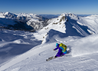 Ski - Adult private lessons