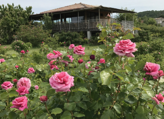 La Roseraie des Pommiers : Jardin et Restaurant