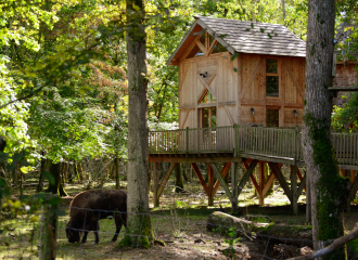 Cabane perchée Ranch - DDLD