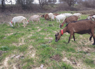 La ferme du pré joli