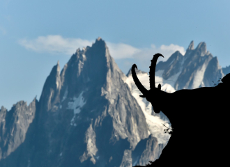 Randonnée Journée - Compagnie des Guides de Chamonix