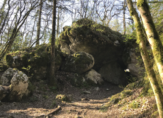 Balade ressourçante : sur les traces du loup !