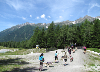 Canine hike with Huskydalen