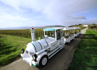 Circuit dans les vignes