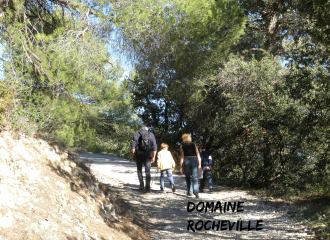 Rando Terroir, promenade pédestre