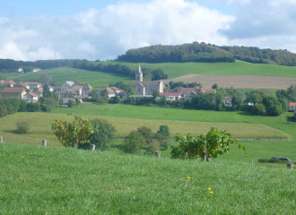 Chemins de Compostelle : St Genix sur Guiers - Condrieu