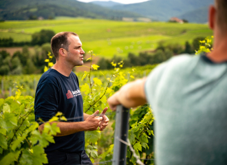 Frédéric Berne: vigneron au Château des Vergers