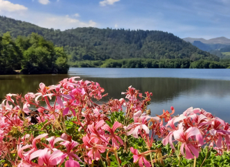 Parkings et stationnement à Chambon sur Lac