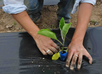 Au fil de l'eau jardin de Cocagne