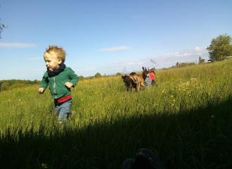 Camping à la Ferme