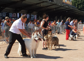 Exposition canine nationale: La Canine