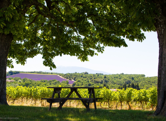 Domaine l'Ancienne École