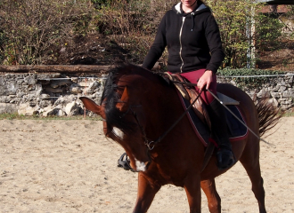 Leçons d'équitation de pleine nature pour les adultes à la ferme équestre du Vercors