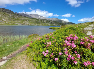 Le Lac Blanc