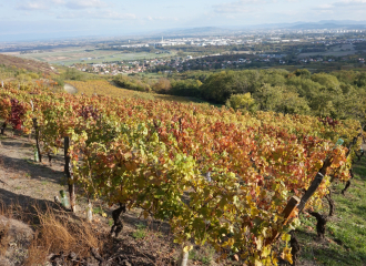 Domaine Tourlonias