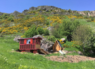 Roulotte en bois dans un écrin de nature