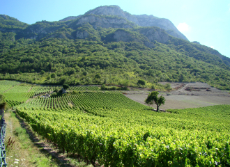 Vignobles de Savoie
