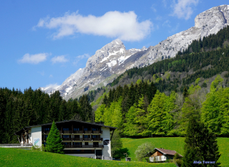 Les fromages de Savoie : de l'alpage à la fabrication