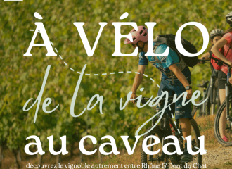 A vélo de la vigne au caveau - Nouvelle expérience à vivre entre Rhône et Dent du Chat - Office de Tourisme de Yenne