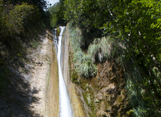 La vigne sous les Cascades