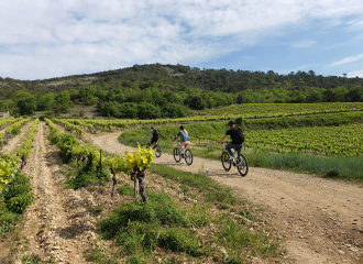 ALLVELO, randonnées terroir à vélo électrique, sorties sportives et évènementiel