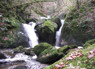 Le Bois des Côtes