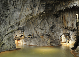 The Petrifying Fountains of Saint-Nectaire