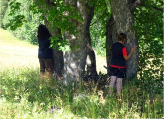 Plein d'énergie avec un arbre