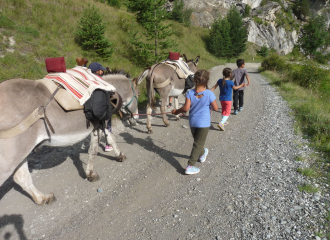 Donkey hire with Anes et Randonnées in Aussois