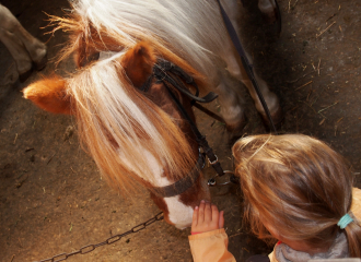 Equitation adaptée avec Christine