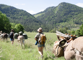 Location d'ânes de bât pour randonnées pédestres avec Vercors Escapade