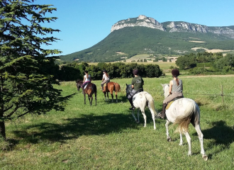 Equitation Les Crinières de Roche Colombe - Ferme équestre