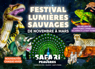 3ème Festival Lumières Sauvages