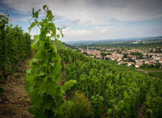 Domaine Dumien - Serrette