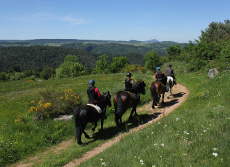 Activités des Galopins du Sancy -  Domaine équestre de Berthaire