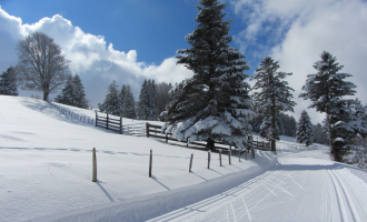 piste ski de fond saleve