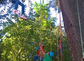 Séjour scolaire iddj drome grimpe d'arbre