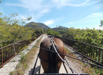 Le cheval vapeur