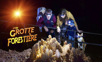 Grotte Forestière. 