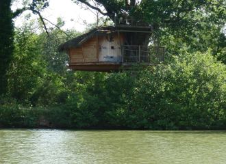 Cabane perchée (Oiseaux, Pêcheurs, Lune) - DDLD