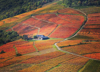 Maison d'hôtes l'Ermitage de Brouilly