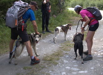 Cani-randonnée avec Husky Adventure à Aussois